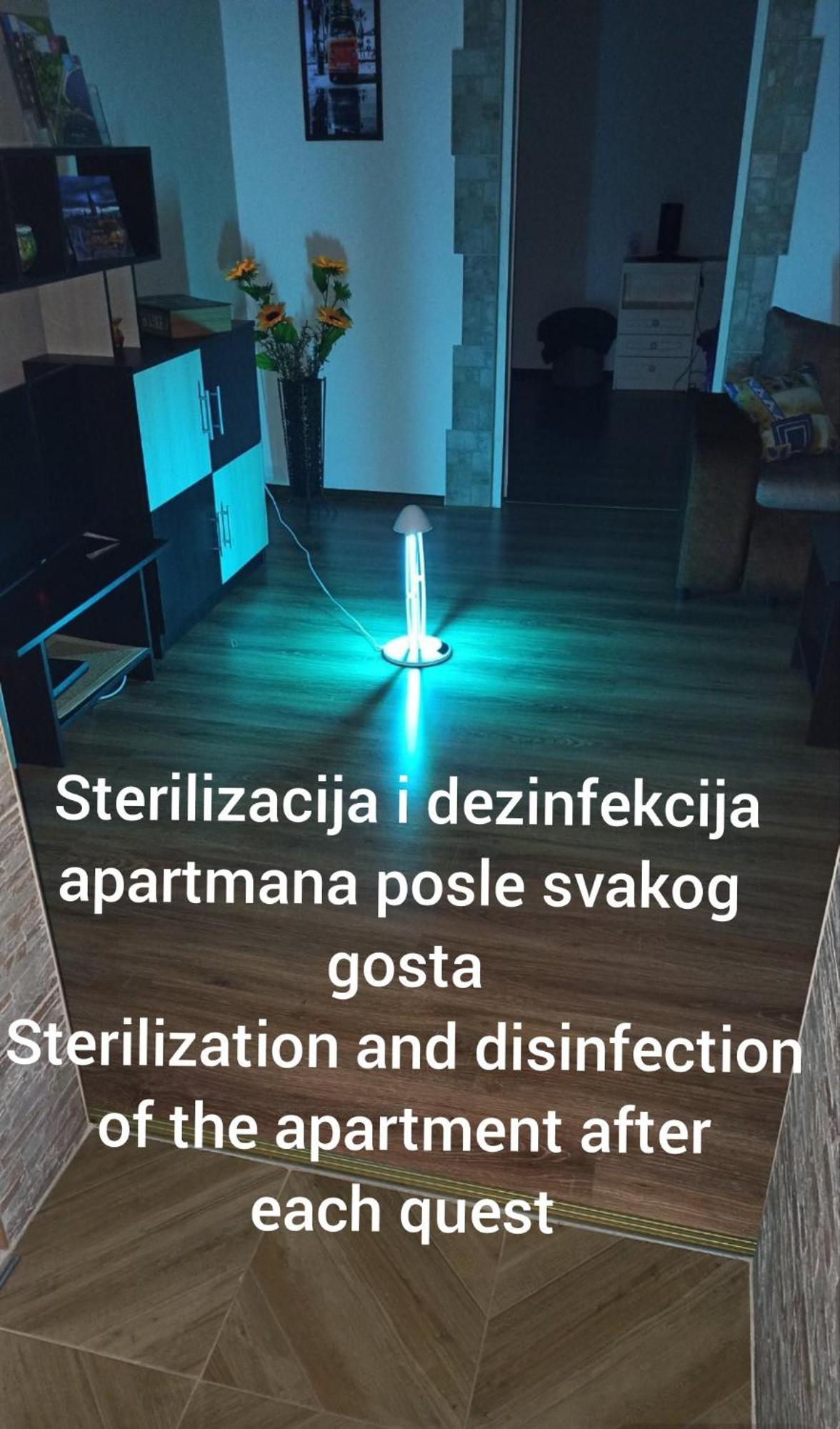 Apartman Su Libero Lägenhet Subotica Exteriör bild